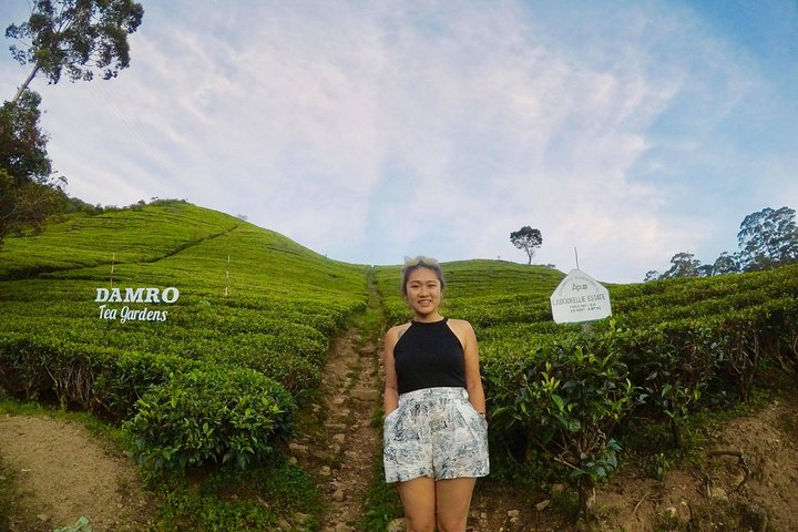  Solo Traveler With Holiday Walkers Sri Lanka ( Round Tour ) - Photo 1 of 8